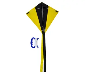 RULYT Létající drak model 2 / Rozměry: 25 x 25 cm / Nylon, sklolaminát