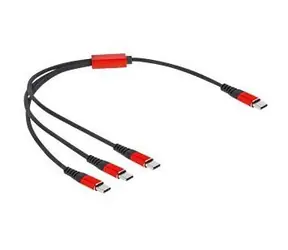 DeLock USB-C (M) - USB-C (M) 30 cm černá / Kabel / USB 2.0 / 5V, 3A
