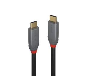 Lindy Anthra Line USB-C - USB-C 1m černá / Kabel USB / USB 3.1 Gen 2 / 10 Gbit/s / PD 100W