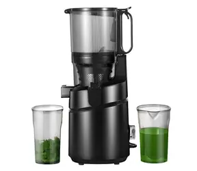AMZCHEF SJ-036-BK černá / Pomalý odšťavňovač / 250 W / 1,8 l / 3 filtry