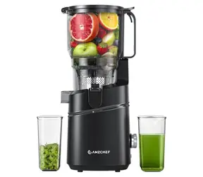 AMZCHEF SJ-036CBK černá / Pomalý odšťavňovač / 250 W / do 50 dB / 2,5 l