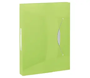 Esselte VIVIDA zelená / Box na dokumenty / A4 / Šíře hřbetu 40 mm