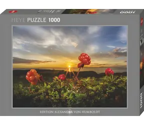 HEYE Puzzle Ostružiny moruška / 1000 dílků / Alexander von Humboldt Edition / 70 x 50 cm