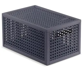 Curver Kaya Organizér s víkem šedý / 7 l / 31,3 x 19,7 x 6,5 cm