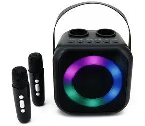 Soundmaster BT2024SW / Karaoke reproduktor / 5W / Bluetooth / Disco light / USB-C / 2x bezdrátový mikrofon