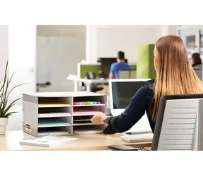 Fellowes Bankers Box / Organizér na dokumenty / 8 přihrádek / 230 x 55 x 310 mm / recyklovaný karton