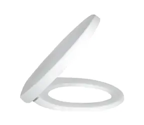 Villeroy & Boch WC sedátko SoftClose bílá / WC sedátko / QuickRelease / Duroplast