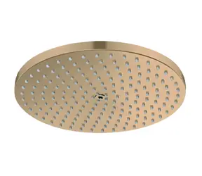 Hansgrohe Raindance S 240 EcoSmart kartáčovaný bronz / Hlavová sprcha / O 24 cm / PowderRain / EcoSmart