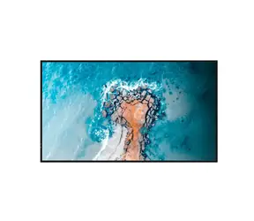 32" Hisense 32DM66D černá / Digital signage displej / FullHD 1920x1080 / Android 11 / Wi-Fi / Bluetooth