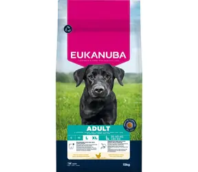 Eukanuba Adult Large rich in fresh chicken 15 kg / Granule pro psy / pro velká a obří plemena