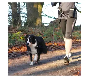 TRIXIE Hands Free pás s odpruženým vodítkem / Pás a vodítko / dogtrekking / do 40 kg / 100-135 cm