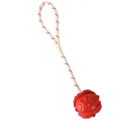 TRIXIE Plovoucí míč na šňůře / Guma / Průměr 7 cm / Délka 35 cm / Pro velké a obří psy