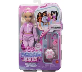 MATTEL Barbie Dream Besties panenka s doplňky JMV16 / Panenka / od 4 let