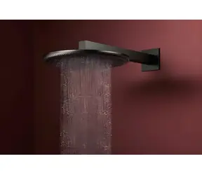 Hansgrohe Raindance Alive S 300 kartáčovaný černý chrom / Hlavová sprcha / O 30 cm / RainAir / PowderRain