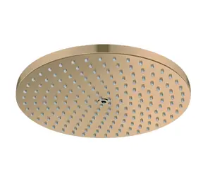 Hansgrohe Horní sprcha 240 kartáčovaný bronz / Hlavová sprcha / O 24 cm / PowderRain