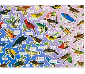 GALISON Puzzle Mořští ptáci / 1000 dílků