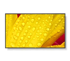 65" NEC MultiSync M651-2 / Velkoformátový displej / IPS / 4K UHD / 500 cd/m2 / DP / HDMI