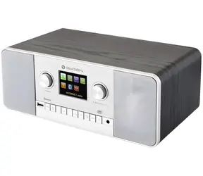 GoGEN IR257BTDAB / DAB+ rádio / Bluetooth