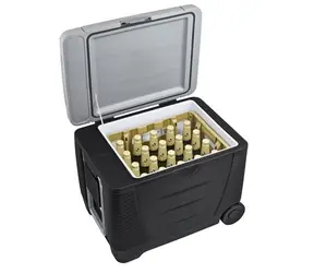 G21 C&W 45 / Autochladnička / 45 l / 12V/230V