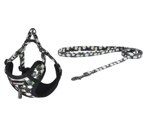 Dogness Venčicí set vodítko a postroj pro psy mix barev / Sada / Nylon, síťovina / Délka vodítka 1,5 m