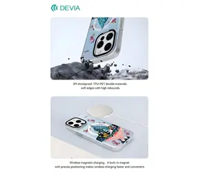 Devia Canvas Series Magic Academy / Magnetický kryt / MagSafe / Apple iPhone 16 Pro Max