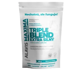 ALAVIS MAXIMA Triple Blend extra silný 290 g / Kloubní výživa / Prášek / MSM / Glukosamin / Chondroitin