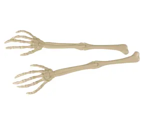 RAPPA Dekorace kostra ruky / Halloween / 2 ks / 36 cm