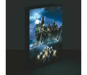 Pyramid LED obraz Bradavice Harry Potter / Obraz / 30x40 cm / LED podsvícení
