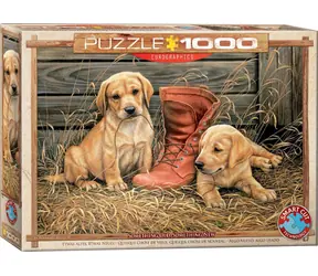 EUROGRAPHICS Puzzle Štěňata se starou botou / 1000 dílků / 67,6 × 48,9 cm