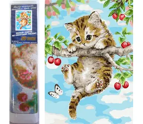 NORIMPEX Diamantové malování Koťátko na třešni / 30x40 cm