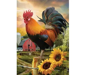 NORIMPEX Diamantové malování Kohout na farmě / 30x40 cm
