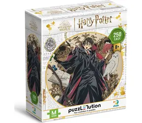 DODO Puzzle Harry Potter: Mladý kouzelník / 250 dílků