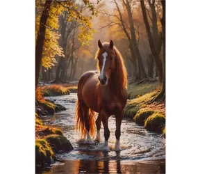 NORIMPEX Diamantové malování Kůň v lesním potoce / 30x40 cm