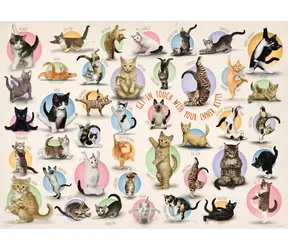 EUROGRAPHICS Puzzle Kočičí jóga XL / 500 dílků / 68 x 48 cm