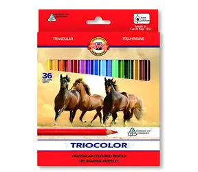 KOH-I-NOOR Triocolor 3145 / Trojhranná pastelka / cedrové dřevo / 36 ks