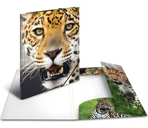 Herma Desky s gumičkou Leopard A4 / Desky s gumičkou / Polypropylen / Vícebarevné