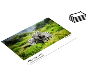 Fomei PRO Pearl 265 / Fotopapír / Polomatný / A4 / 265 g/m2 / 5 listů