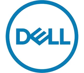 DELL Pevný disk 1TB NL-SAS 3,5" / Pevný disk / 7200 ot/min / HDD