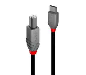 Lindy Anthra Line USB-C - USB-B 2m černá / Kabel USB / USB 2.0 / 480 Mbit/s
