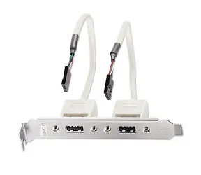 Lindy Slotblech USB adaptér / Redukce / 2x USB-A - 2x IDC 5pin / 0,2 m