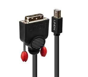 Lindy Mini DisplayPort na DVI-D černá / Kabel / 3 m / 1920 x 1200 px / 60 Hz