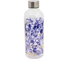 STOR Láhev na pití Harry Potter - Kouzla 850 ml / Láhev na pití / kovový uzávěr / bez BPA a ftalátů