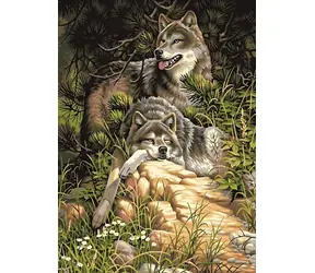 NORIMPEX Diamantové malování Vlci v lese / Diamantové malování / 30x40 cm