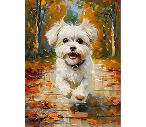 NORIMPEX Diamantové malování Maltézský pes / 30x40 cm