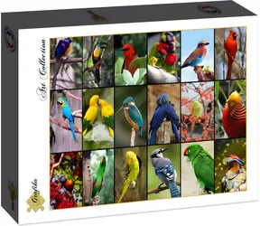 GRAFIKA Puzzle Nejkrásnější ptáci světa / 1500 dílků / 85 × 61 cm