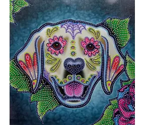 NORIMPEX Diamantové malování 7D Labrador / 30x30 cm