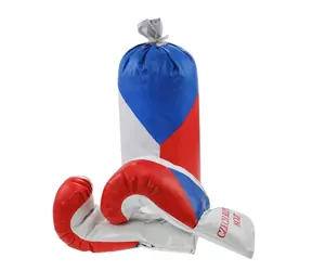 RULYT Dětská boxovací sada CZ / Boxovací sada / pytel 30×12 cm / rukavice 8oz / od 4 let