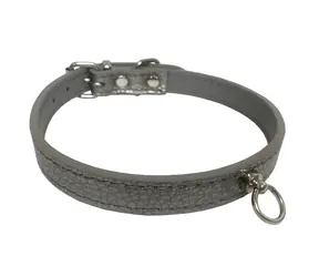 HUHUBAMBOO Obojek Metal titanový L / Pro chrty / 16 mm x 31-37 cm / Hovězí kůže