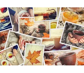 GRAFIKA Puzzle Užijte si to / 1000 dílků / 69 × 47,8 cm