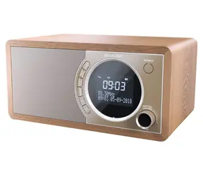 Sharp DR-450 hnědá / Přenosné rádio / 6W / DAB+/FM / Bluetooth 4.2 / LCD displej